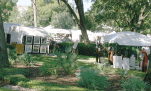 Canopies 1